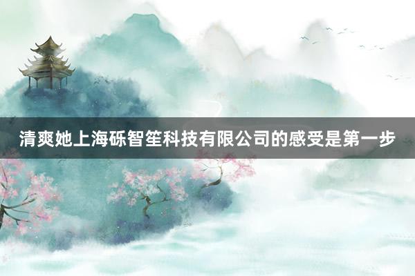清爽她上海砾智笙科技有限公司的感受是第一步