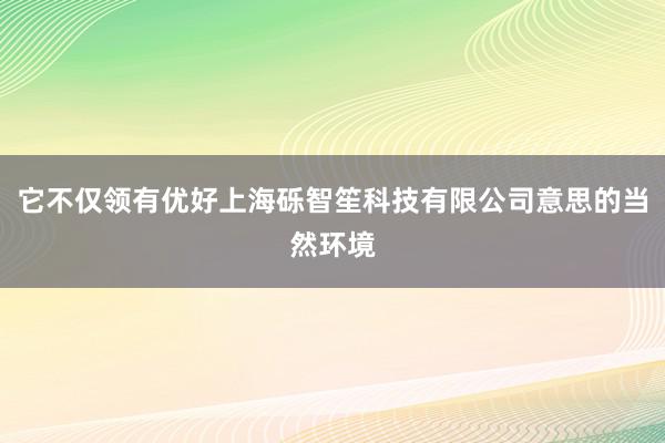 它不仅领有优好上海砾智笙科技有限公司意思的当然环境