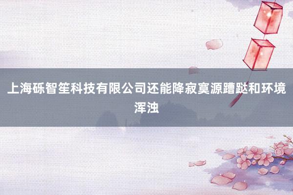 上海砾智笙科技有限公司还能降寂寞源蹧跶和环境浑浊