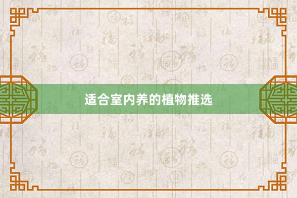 适合室内养的植物推选