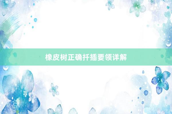橡皮树正确扦插要领详解